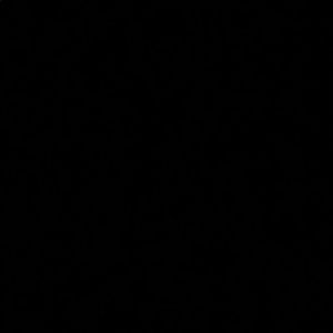 Meet your Posher, Raquel